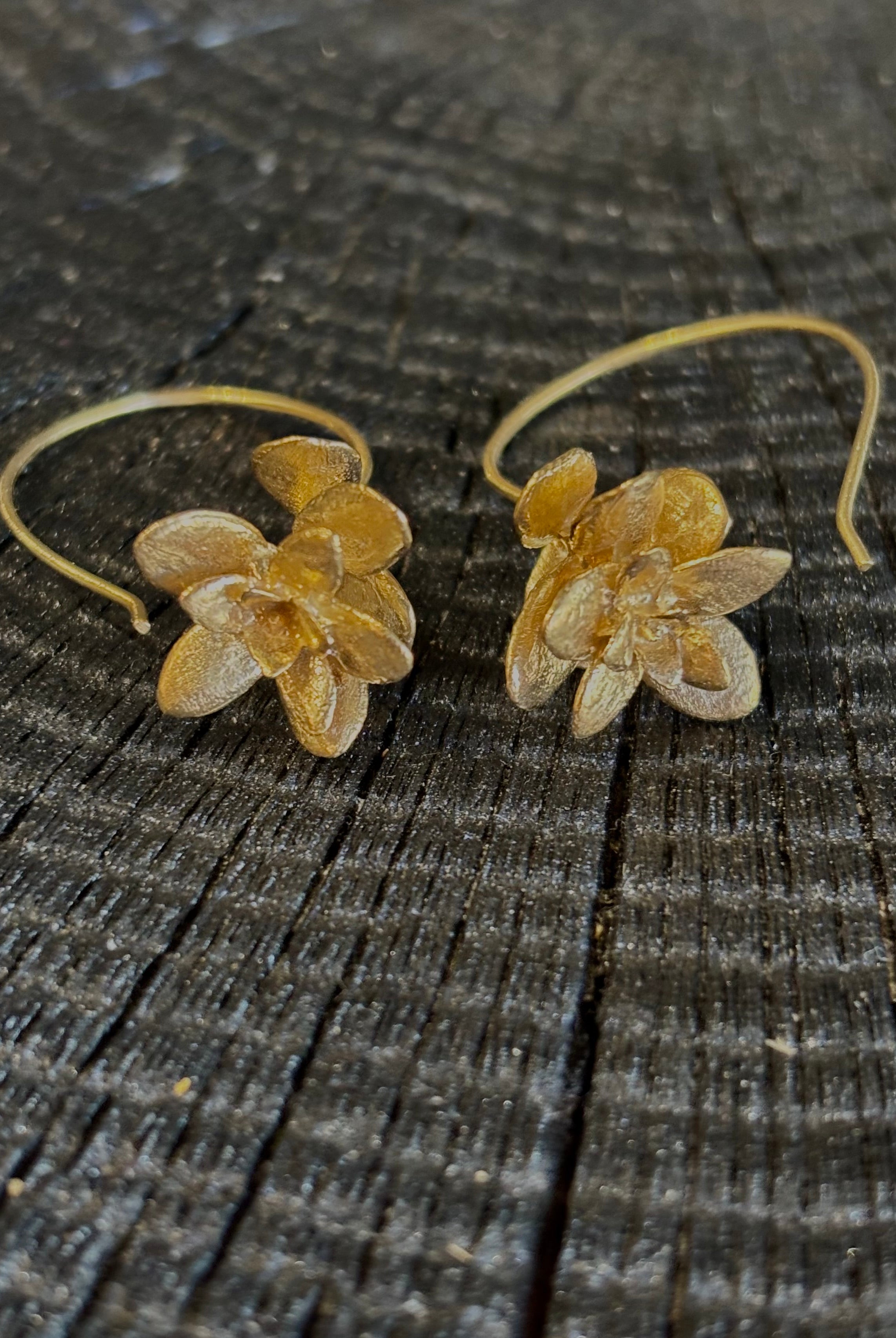 Image of Four Petal Succulent Hoop Earrings from North Carolina fine jewelry artist Amber Mahler handcrafted 18K yellow gold vermeil botanical casting