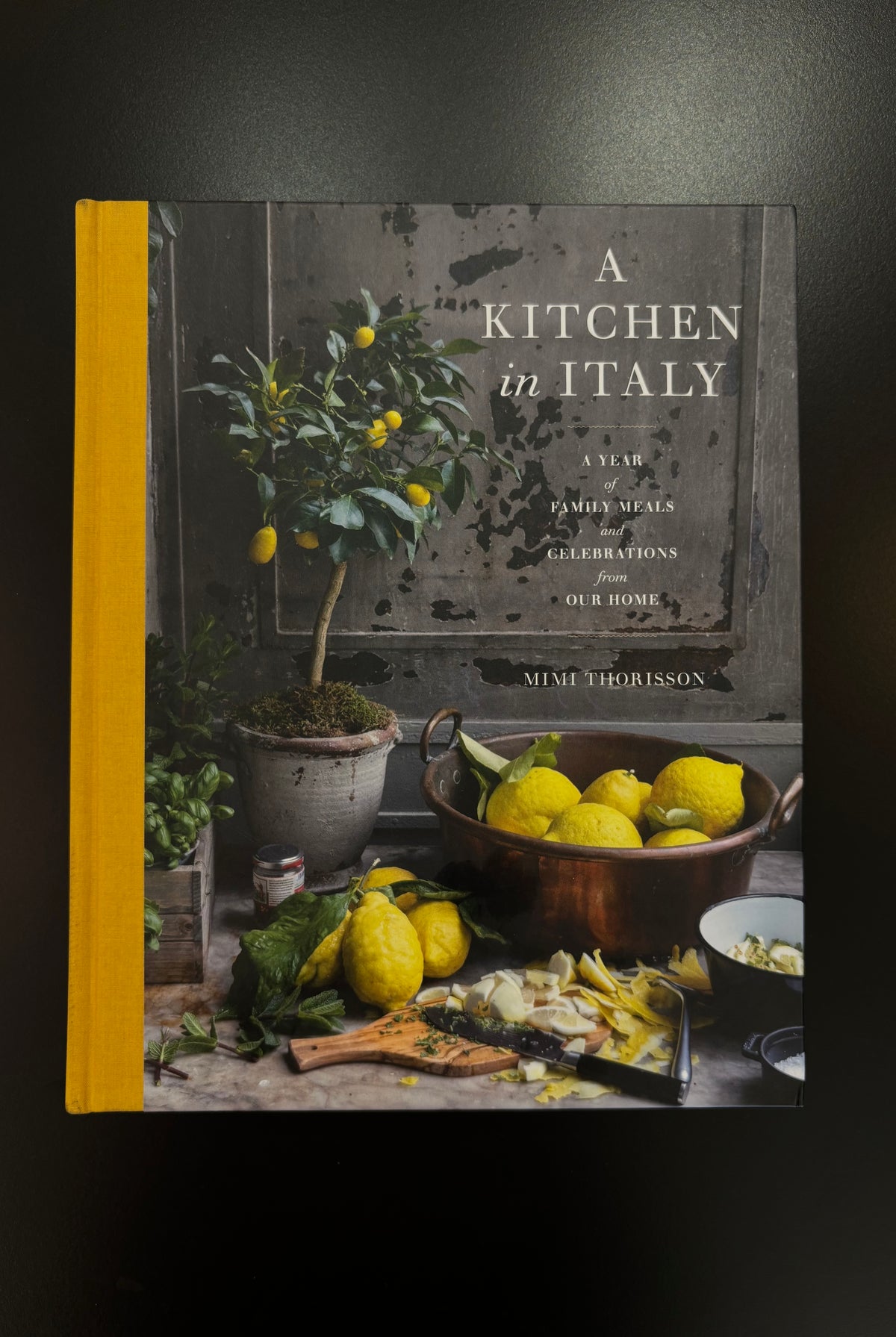 Mimi Thorisson's A Kitchen in Italy hardcover cookbook-memoir of regional Italian recipes and atmospheric photography gift-worthy