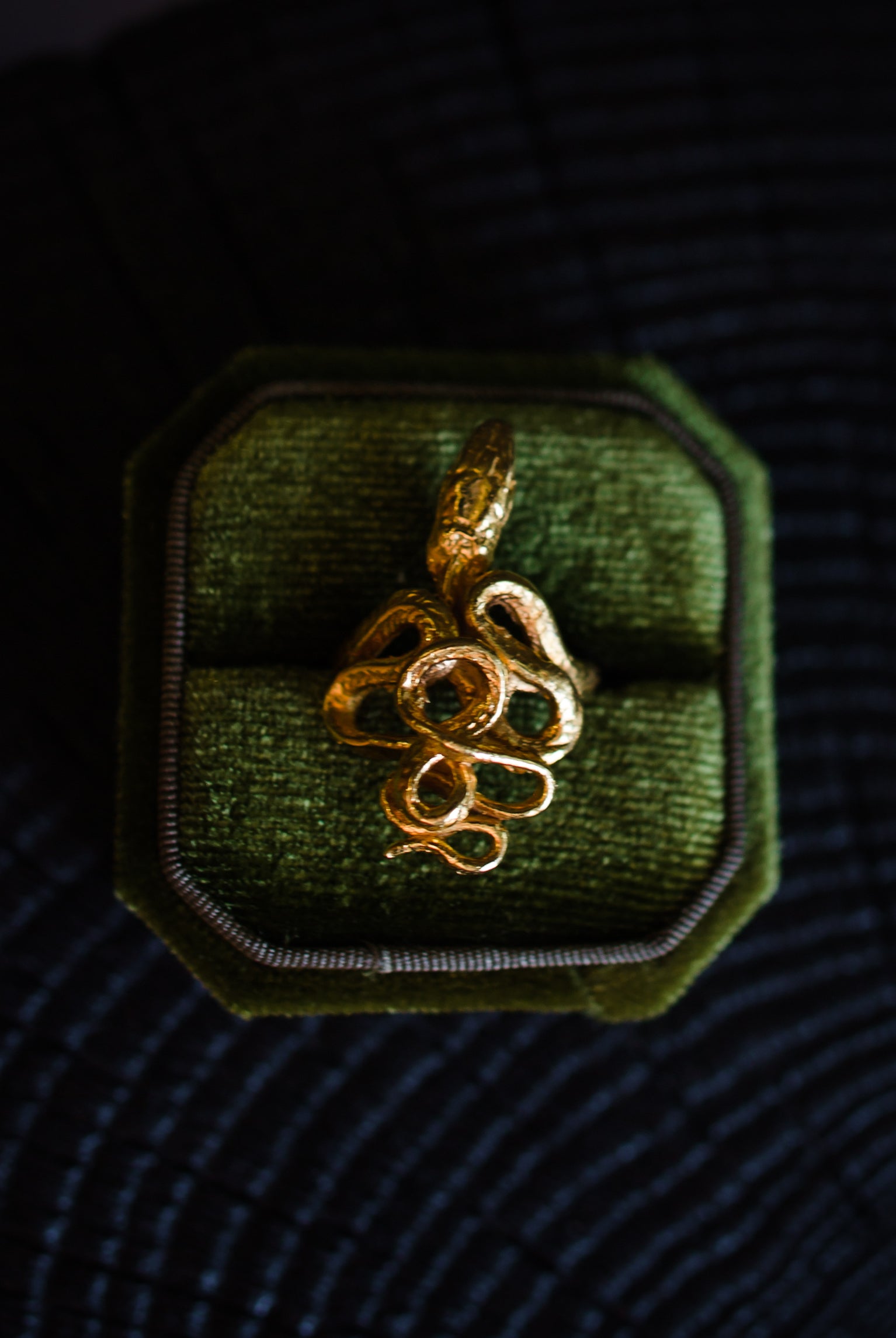 Image featuring North Carolina artist and jeweler Anna Johnson Serpentine Ring in 18k vermeil