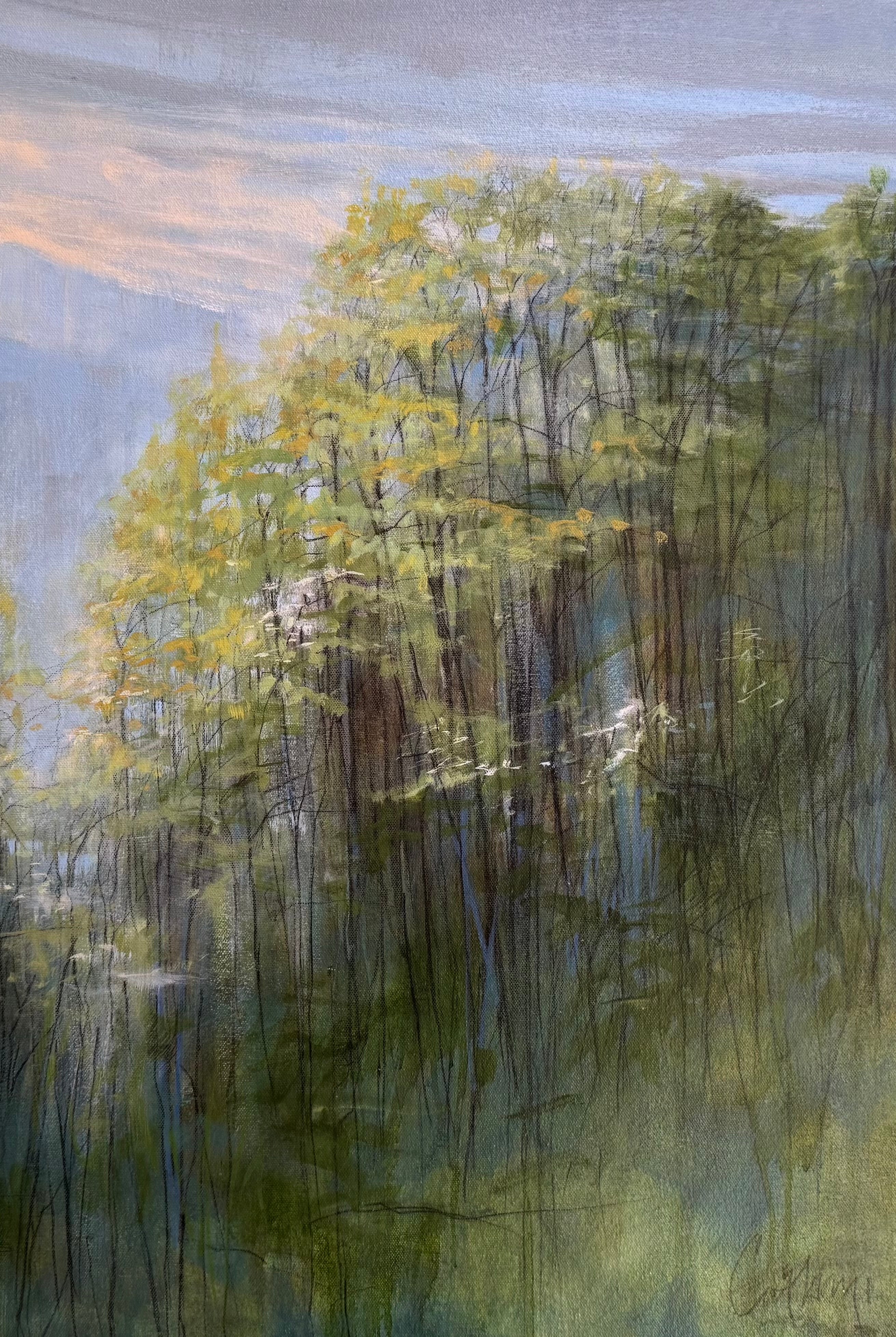 Image of North Carolina artist CATHRYN COOPER Earthshine of the tree line at top of a mountain ridge in summer with distant mountain range and sunset beyond