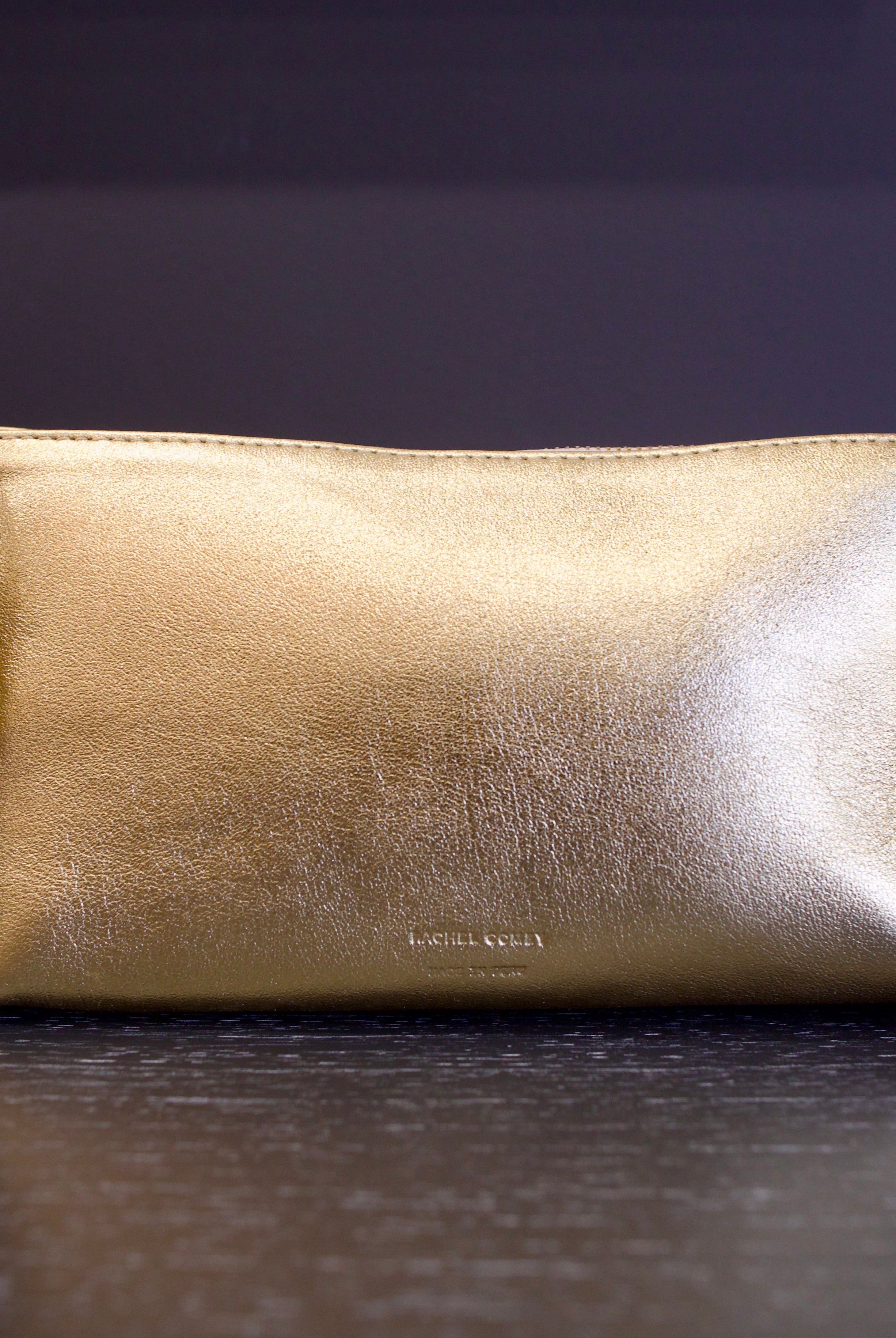 Photo of a gold metallic Rachel Comey leather triangle case with zipper closure