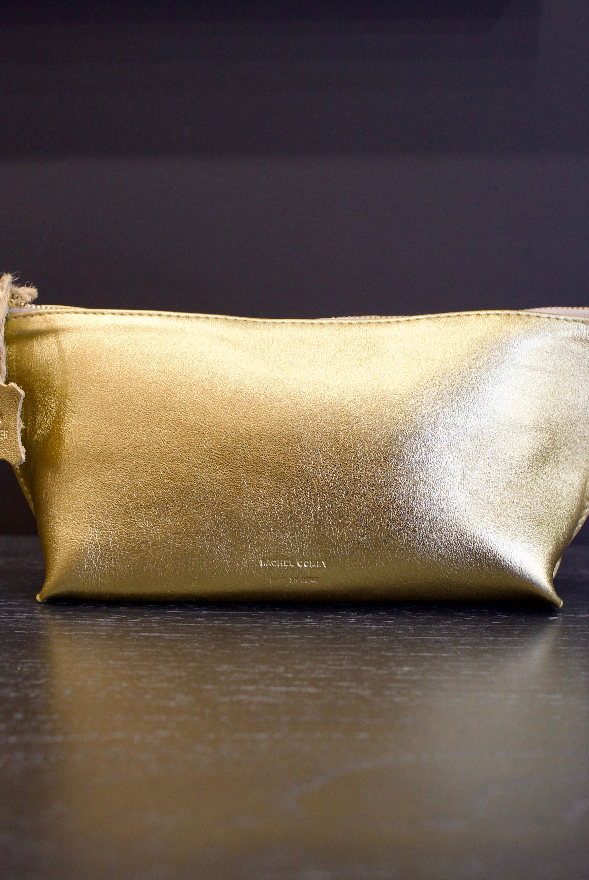 Photo of a gold metallic Rachel Comey leather triangle case with zipper closure