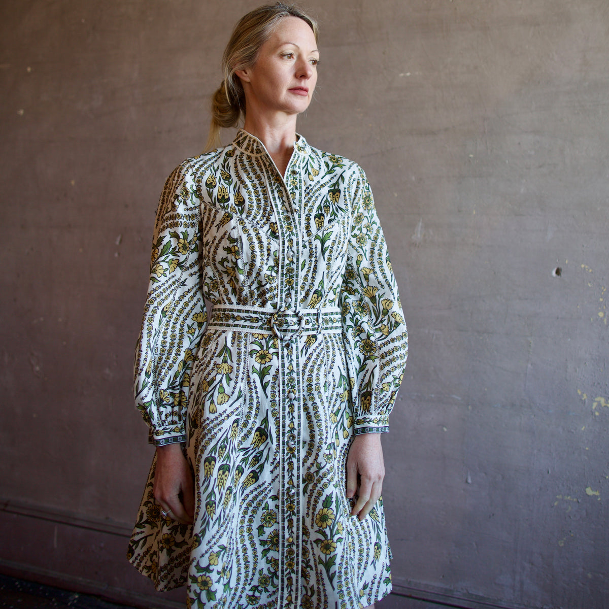 Veronica Beard Nolan Dress | Dove Multi