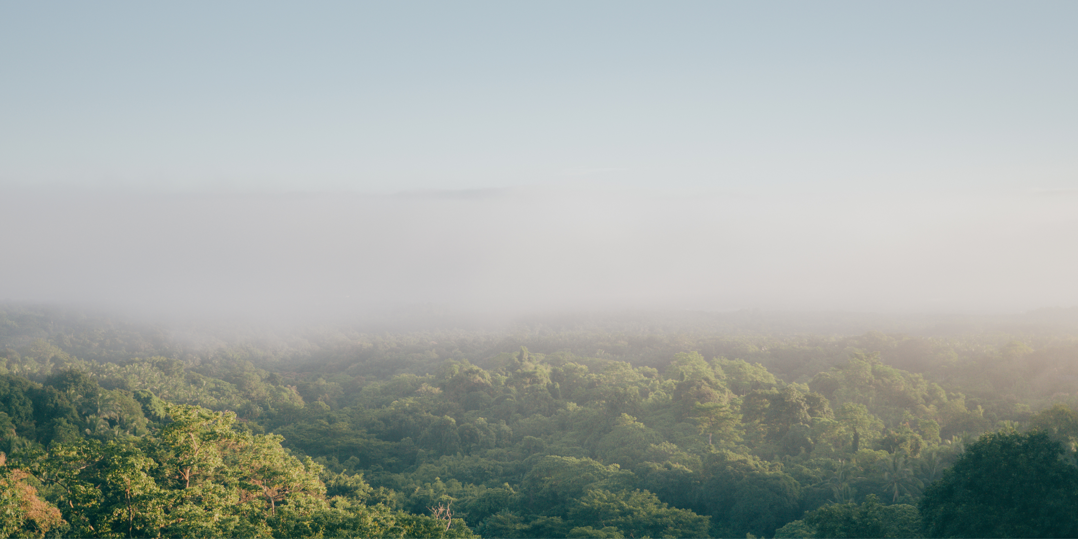 Trending: Sustainable Style