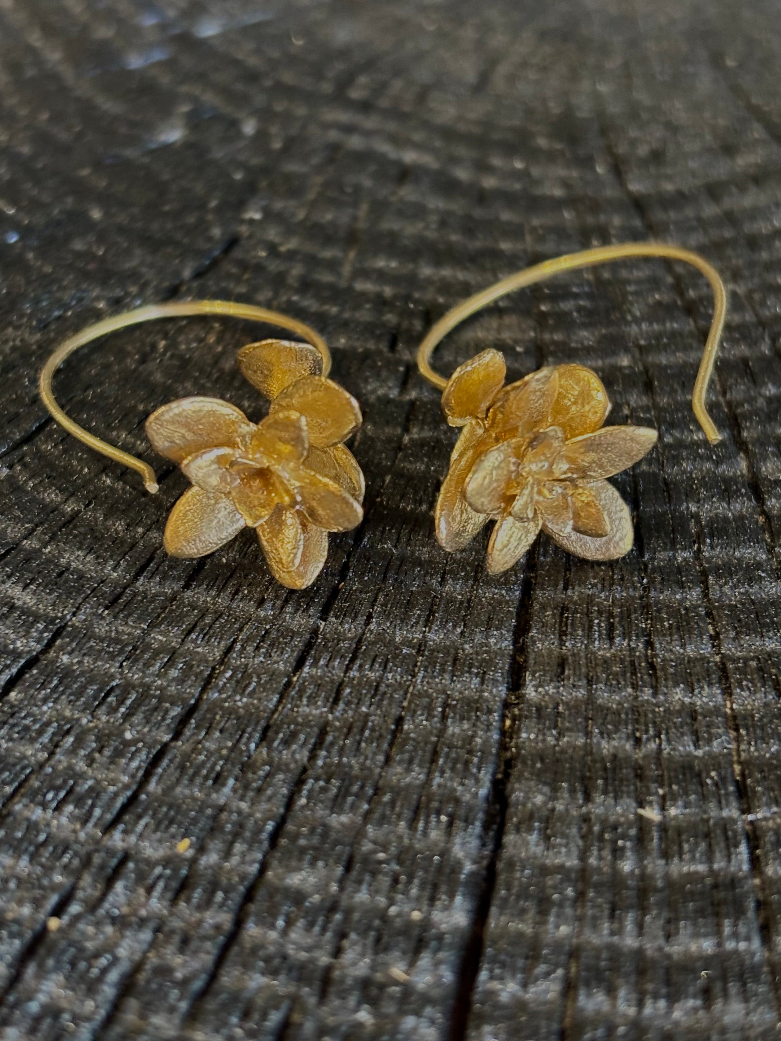 Image of Four Petal Succulent Hoop Earrings from North Carolina fine jewelry artist Amber Mahler handcrafted 18K yellow gold vermeil botanical casting