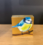 Image featuring South Carolina Fine art painter Joseph Bradley giclee with small Eurasian Blue Tit bird and gold leaf