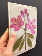 A rectangular ceramic tile with botanical pressed pink rosebay rhododendron on cream clay by local NC artist
