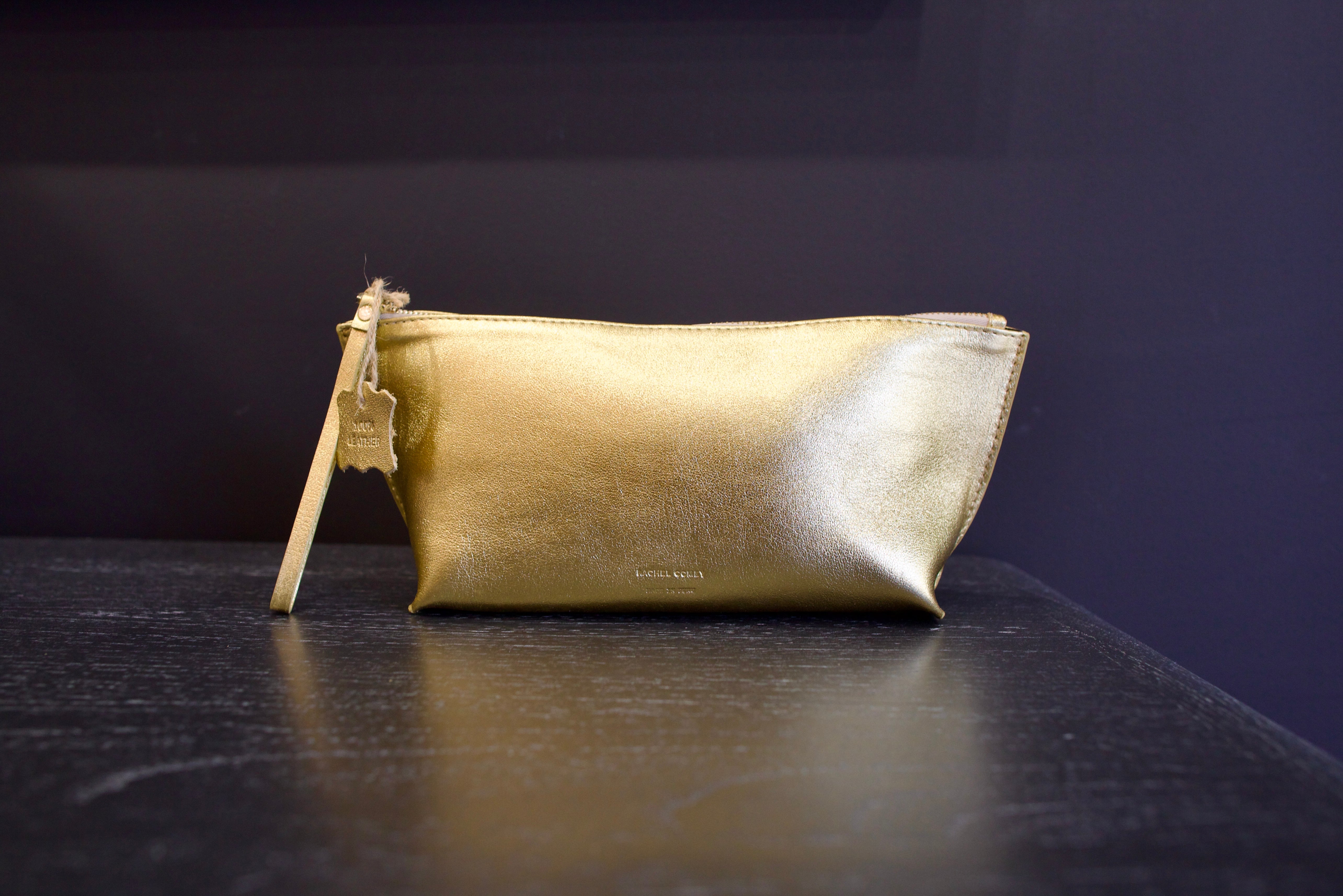 Photo of a gold metallic Rachel Comey leather triangle case with zipper closure