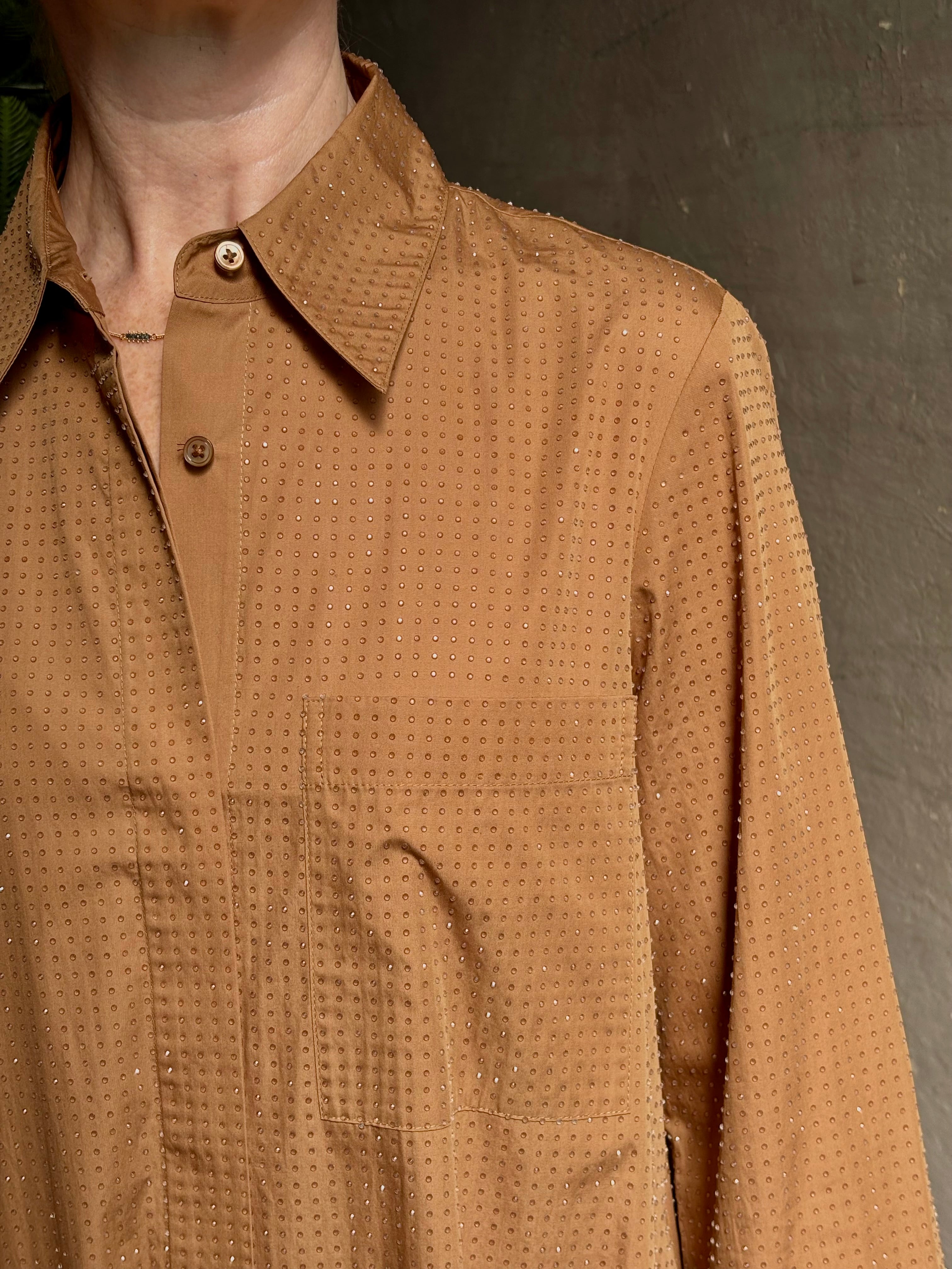 Mature woman wearing sophisticated TWP Jennys shirt dress embellished with crystals in warm brown