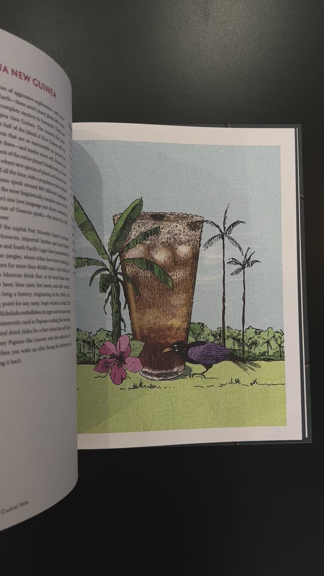 Video flipping thru Chris Vola’s The Cocktail Atlas hardcover book touring the world’s cocktail cultures